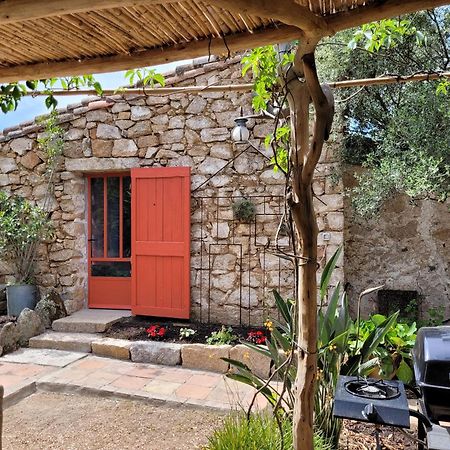 Stazzu La Capretta Farm Camping & Guest Rooms Olbia Eksteriør billede
