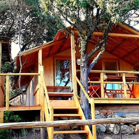 Stazzu La Capretta Farm Camping & Guest Rooms Olbia Eksteriør billede