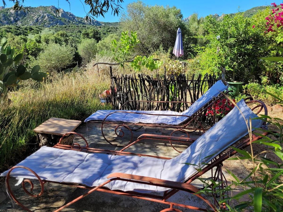 Stazzu La Capretta Farm Camping & Guest Rooms Olbia Eksteriør billede