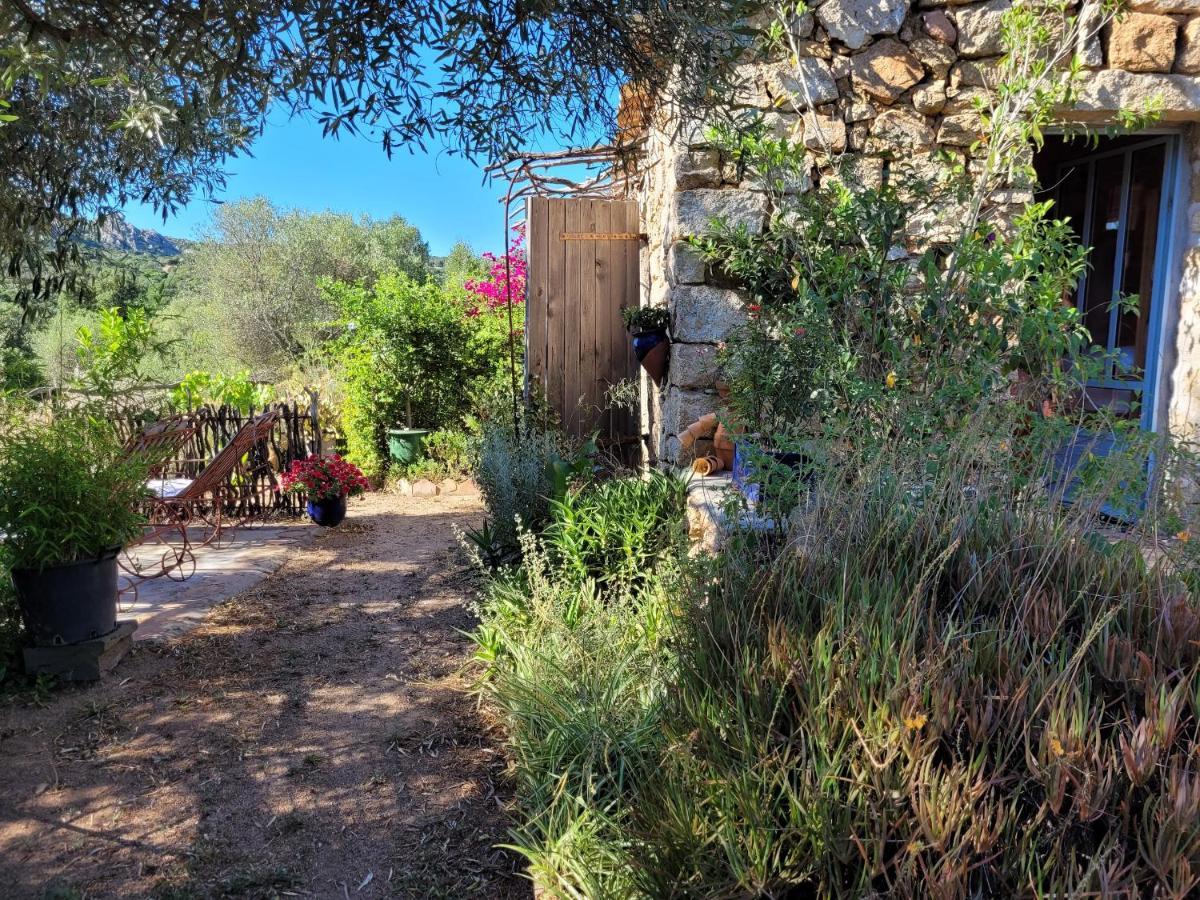 Stazzu La Capretta Farm Camping & Guest Rooms Olbia Eksteriør billede