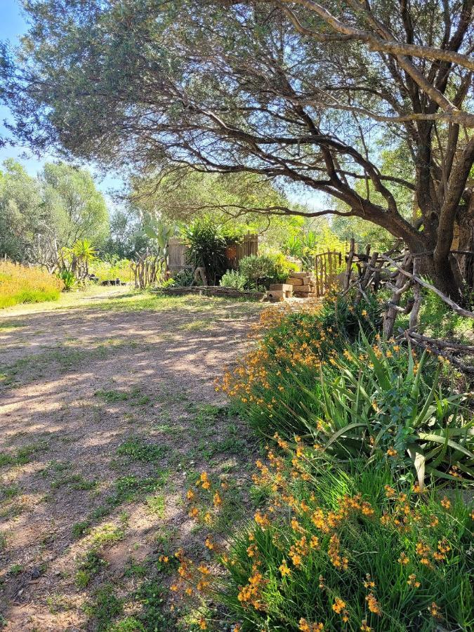 Stazzu La Capretta Farm Camping & Guest Rooms Olbia Eksteriør billede