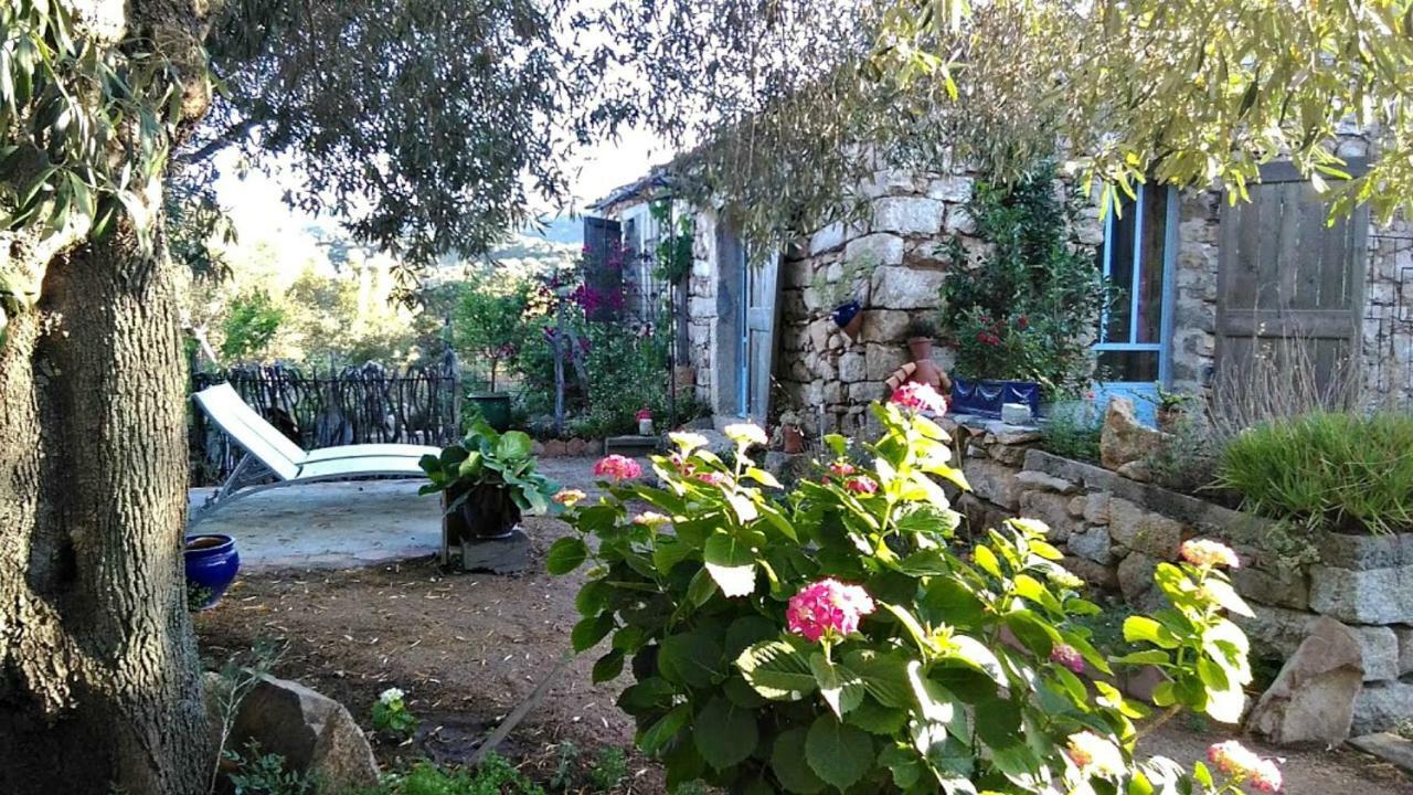 Stazzu La Capretta Farm Camping & Guest Rooms Olbia Eksteriør billede