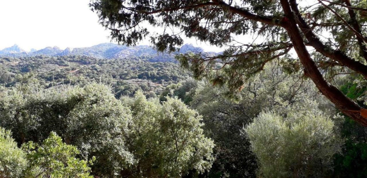 Stazzu La Capretta Farm Camping & Guest Rooms Olbia Eksteriør billede