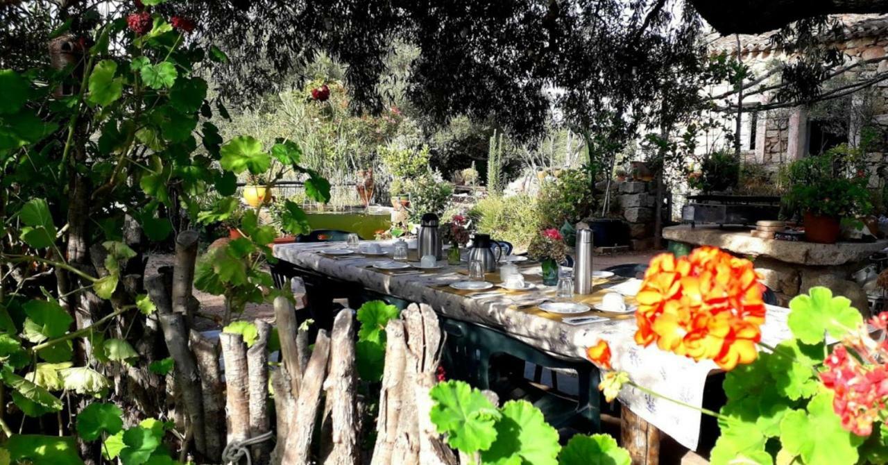 Stazzu La Capretta Farm Camping & Guest Rooms Olbia Eksteriør billede