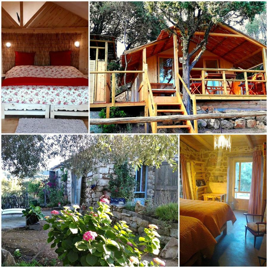 Stazzu La Capretta Farm Camping & Guest Rooms Olbia Eksteriør billede