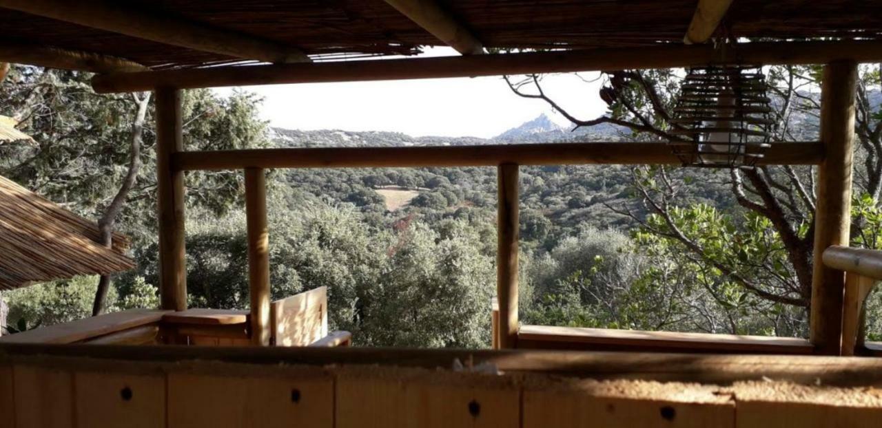 Stazzu La Capretta Farm Camping & Guest Rooms Olbia Eksteriør billede