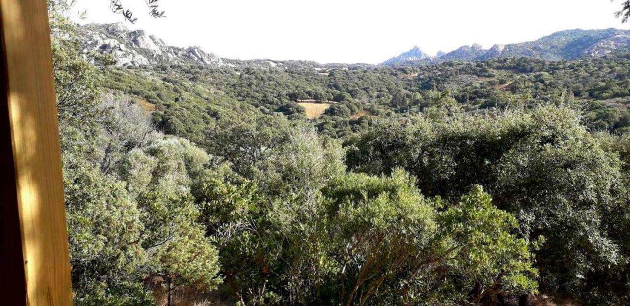 Stazzu La Capretta Farm Camping & Guest Rooms Olbia Eksteriør billede